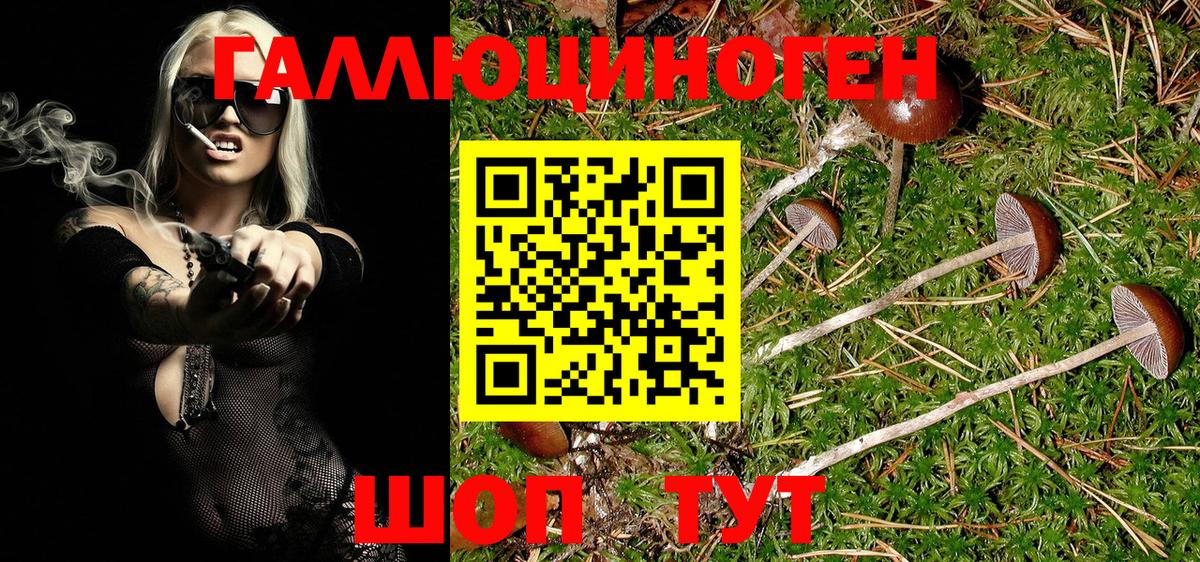 Барнаул  Галлюциногенные грибы Magic Shrooms  Вход с VPN 